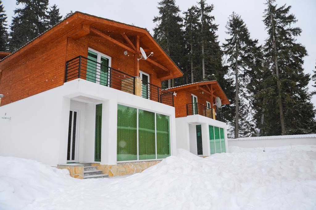 Chalet Kokhta Bakuriani Exterior foto